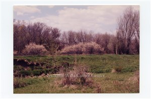 Image description is not available for PHO-264-690